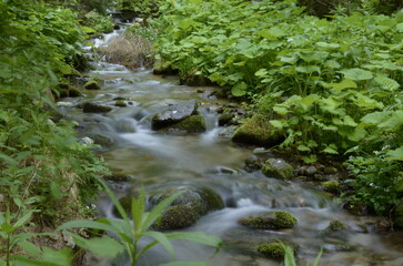 Natur, Urlaub, Reisen, H&auml;user, Meer, 