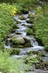 Natur, Urlaub, Reisen, H&auml;user, Meer, 