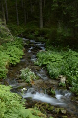 Natur, Urlaub, Reisen, Häuser, Meer, 