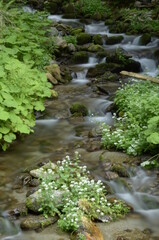 Natur, Urlaub, Reisen, H&auml;user, Meer, 