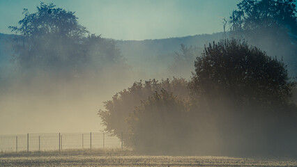 Natur bei Sonnenaufgang im Nebel