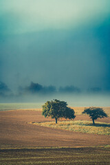 Natur bei Sonnenaufgang im Nebel