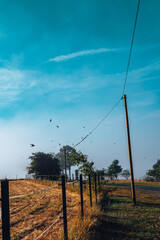 Natur bei Sonnenaufgang im Nebel