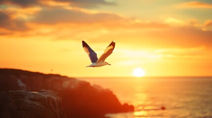 Naklejka premium 15. A lone seagull soaring over a peaceful seaside cliff at sunset