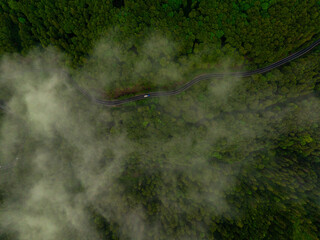 Curved mountain road. Aerial view of a beautiful wave road between the forests of a mountain. Beautiful motorways of the world.