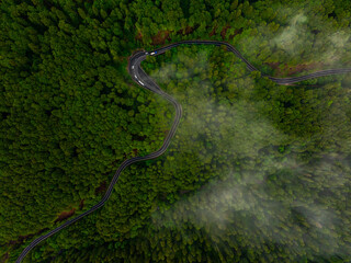 Curved mountain road. Aerial view of a beautiful wave road between the forests of a mountain. Beautiful motorways of the world.