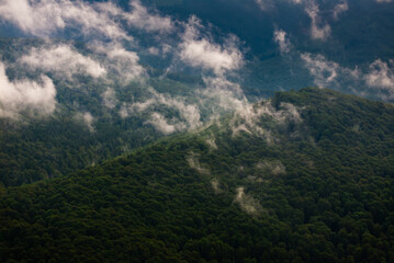 Fototapeta premium Forests after rain. Aerial mountain landscape. Clouds of fog coming out of the forest after a summer rain. Green forest tree landscape.