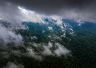 Forests after rain. Aerial mountain landscape. Clouds of fog coming out of the forest after a summer rain. Green forest tree landscape.