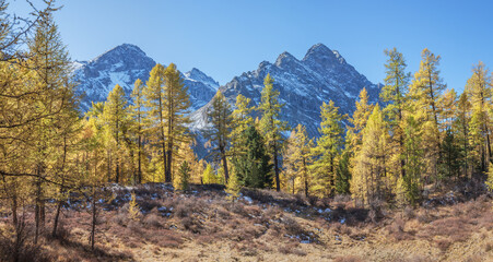 Autumn landscape, mountain peaks and autumn forest, sunny day