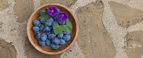 Fototapete bei efototapeten.de bestellen   