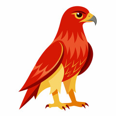 Obraz premium Red tailed hawk artwork victor illustration