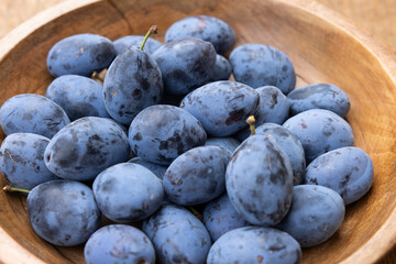 Frisch geerntete Ökologische Zwetschgen in einer Holzschale