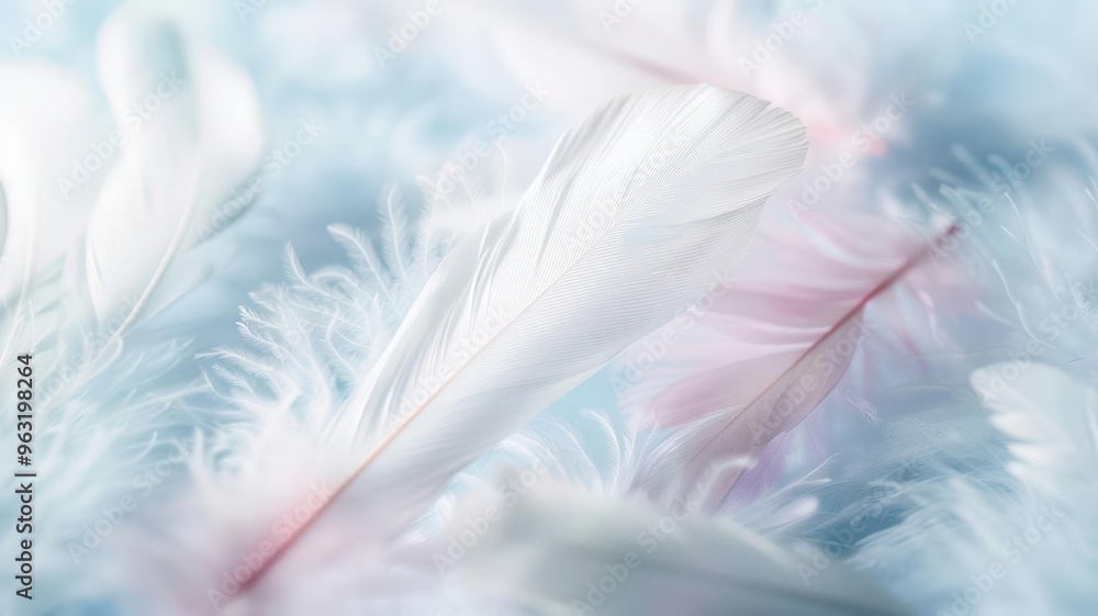 Poster a delicate arrangement of soft white feathers creating a serene and calming backdrop, perfect for na