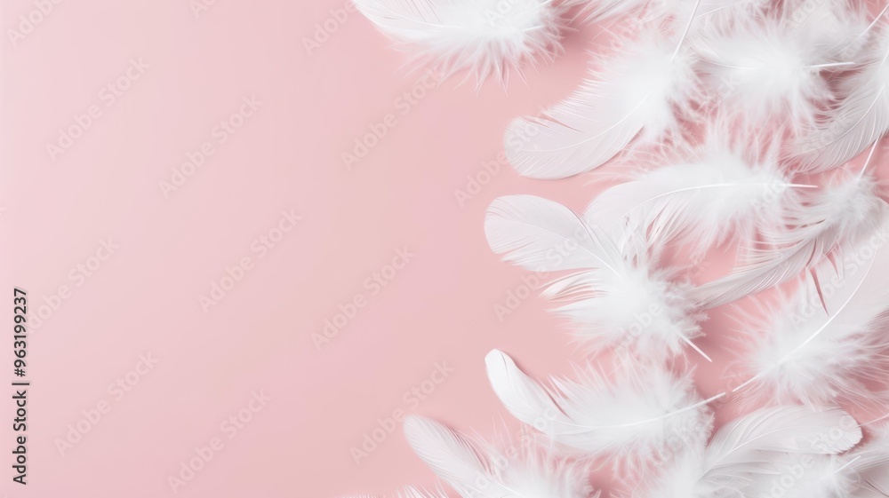 Poster delicate white feathers on a soft pink background, perfect for adding a touch of elegance and softne