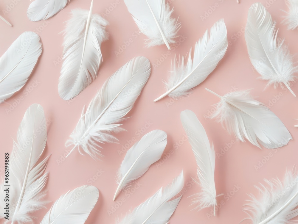 Poster elegant white feathers spread on a soft pink background, creating a calming and stylish aesthetic fo