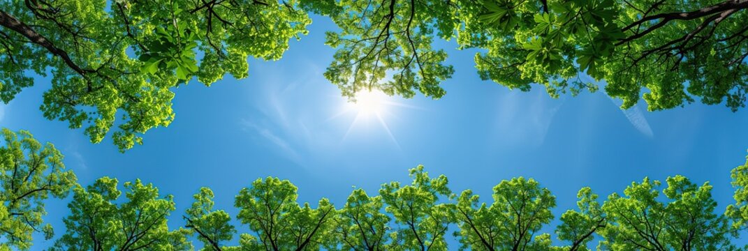 A low angle view of a bright blue sky with the sun shining through the leaves of trees. The image evokes a sense of peace and tranquility.