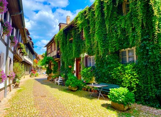 houses in the garden of Gengenbach in the Black Forest, Germany