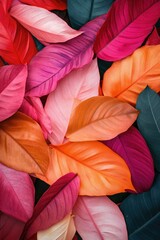 A close up of many different colored leaves, including pink, orange, and green. Concept of diversity and natural beauty