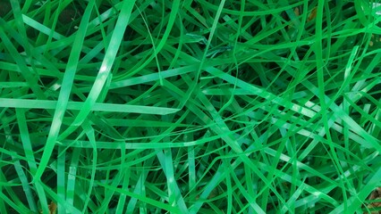 An abstract close-up of green plastic strips scattered in a random pattern, showcasing their texture and vibrant color, typically used for packaging or binding purposes