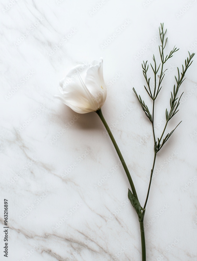 Sticker A delicate white flower and green stem are placed elegantly on a seamless white marble surface, exuding tranquility and simplicity. Generative AI