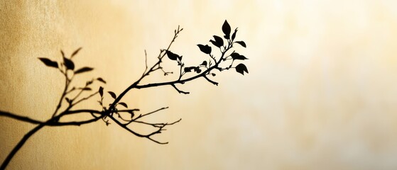 Silhouette of a Branch with Leaves Against a Soft Yellow Background