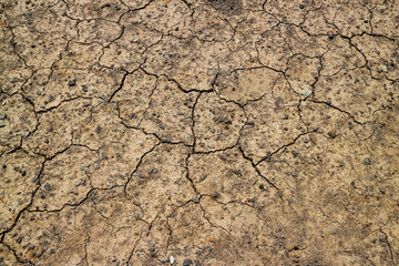 A close-up image of dry, cracked soil, revealing the intricate patterns and textures of the parched earth. Cracked earth a sign of drought and dryness.