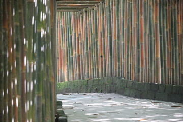Bamboo texture arranged in such a way