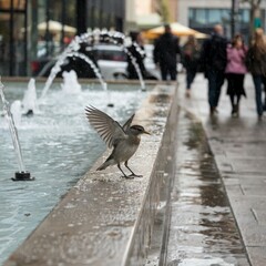 A Photo of a Bird Perched on the Edge of a Public Fountain with Water Splashing