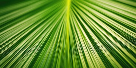 Obraz premium palm leaf texture, showcasing the natural details of a tropical green leaf.