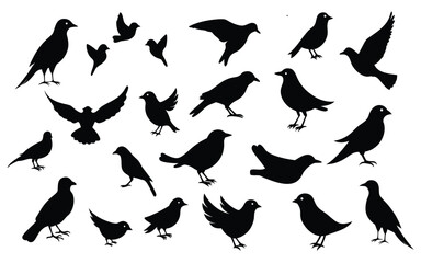All type of Bird silhouette vector illustration