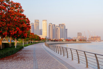 Obraz premium beautiful embankment with flowering trees overlooking the Dubai creek harbour at sunset, UAE