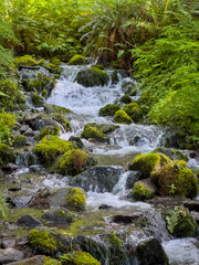 Water Rushes Through The Moss Covered Rocks Of Clide Creek