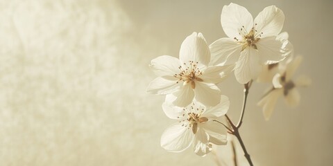 Delicate flowers displayed on a soft cream-colored background.