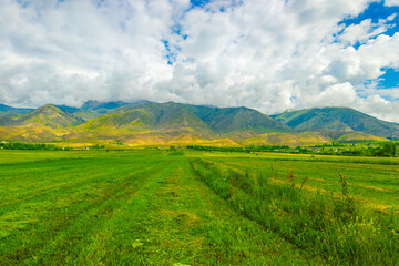 Green agricultural field with mountain range under a white cumulus clouds sky and sunlight.