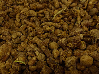 Pile of Dried Zedoary Roots Used in Traditional Herbal Medicine