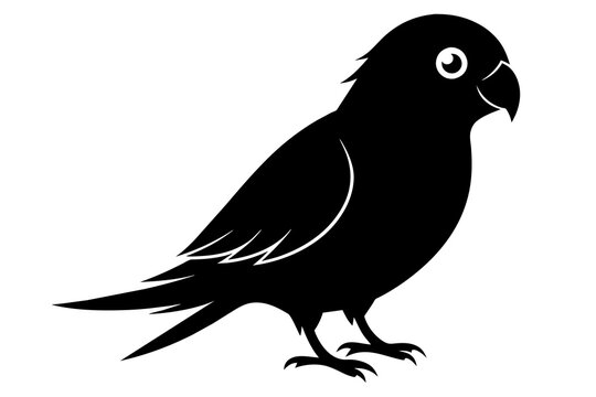 recommend clip art: lovebird silhouette black color vector art illustration