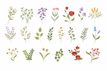 Collection of Flat Illustrated Floral Designs with Various Colored Flowers and Green Leaves