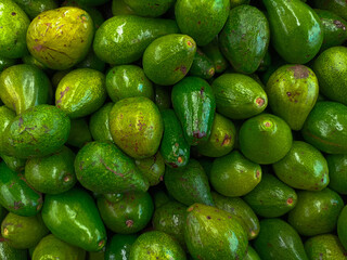 Fresh Green Avocados Packed Together: A Vibrant Display of Nutrient-Rich Tropical Fruit