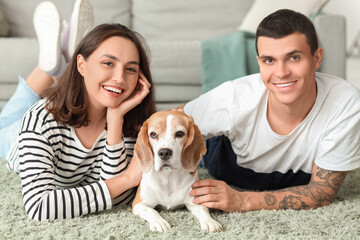 Young couple with cute Beagle dog lying on carpet at home