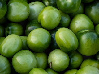Harvested tomatoes on village farm