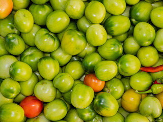 Harvested tomatoes on village farm