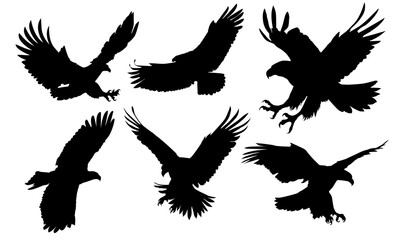 Animals eagle hawk bird fly swoop attack silhouette set collection on white background vector