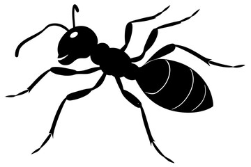 Ant silhouette vector illustration