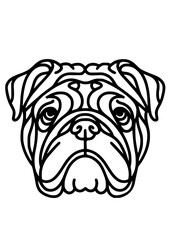Dog breed SVG, Canine SVG, Cat SVG, Pet SVG, Corgi SVG, Bulldog SVG, Yorkshire Terrier SVG, Bullmastiff SVG, Spaniel SVG, Doberman SVG, Dog Silhouette, Dog Head, Cut file for Cricut JPG, PNG, SVG