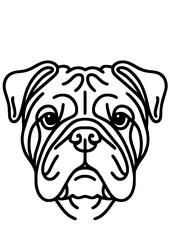 Dog breed SVG, Canine SVG, Cat SVG, Pet SVG, Corgi SVG, Bulldog SVG, Yorkshire Terrier SVG, Bullmastiff SVG, Spaniel SVG, Doberman SVG, Dog Silhouette, Dog Head, Cut file for Cricut JPG, PNG, SVG