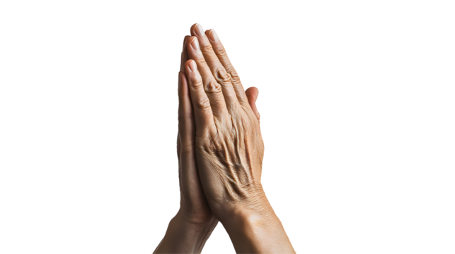 hands isolated on white