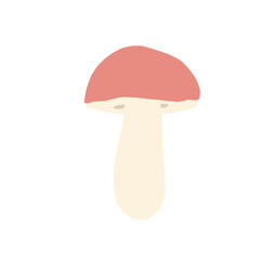 Mushrooms vector flat illustration