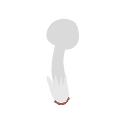 Mushrooms vector flat illustration