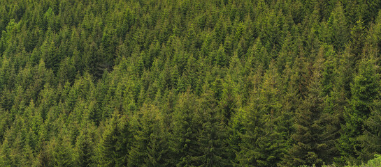 Beautiful landscapes from Cemernik mountain in south Serbia.