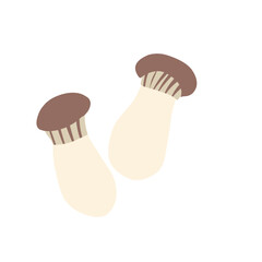 Mushrooms vector flat illustration
